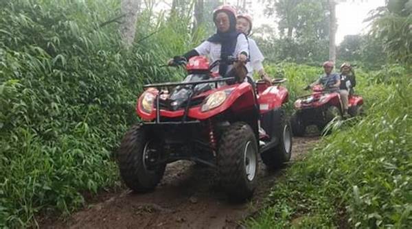 Balap Mobil Di Hutan: Sensasi Ekstrem Di Alam Terbuka